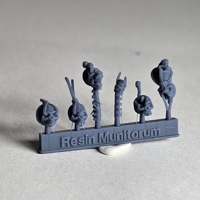 Vulture Cult Trophies