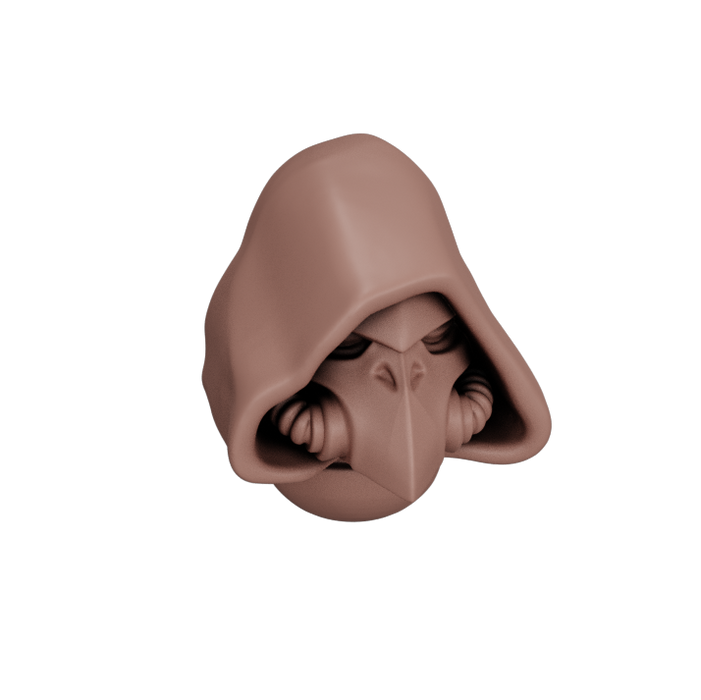Rook Hooded Beak Helmets