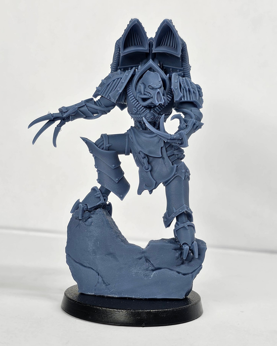 The Vulture Cult Lord
